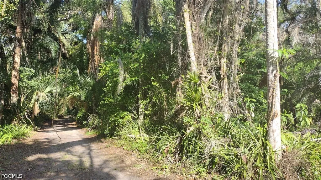 1469 Coffee Mill Hammock Road Moore Haven FL 33471