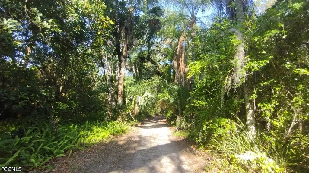1469 Coffee Mill Hammock Road Moore Haven FL 33471