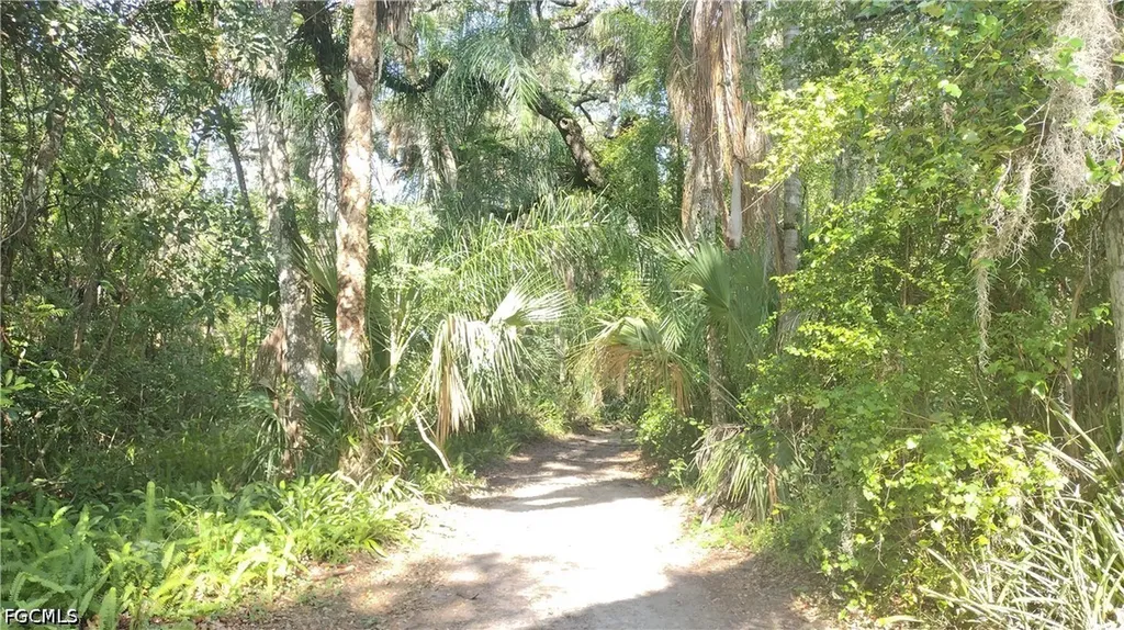 1469 Coffee Mill Hammock Road Moore Haven FL 33471
