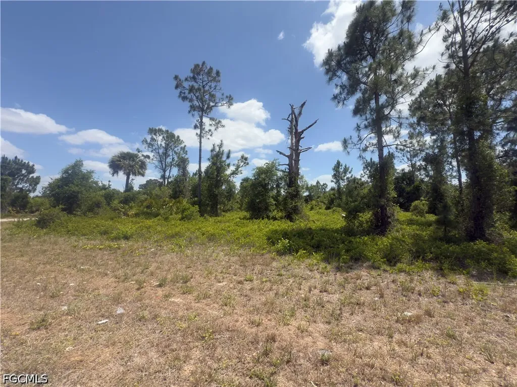 540 Aspen Avenue S Lehigh Acres FL 33974
