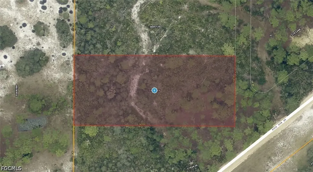 28-17-28-0004-000-03100 Buck Run Drive Paisley FL 32767