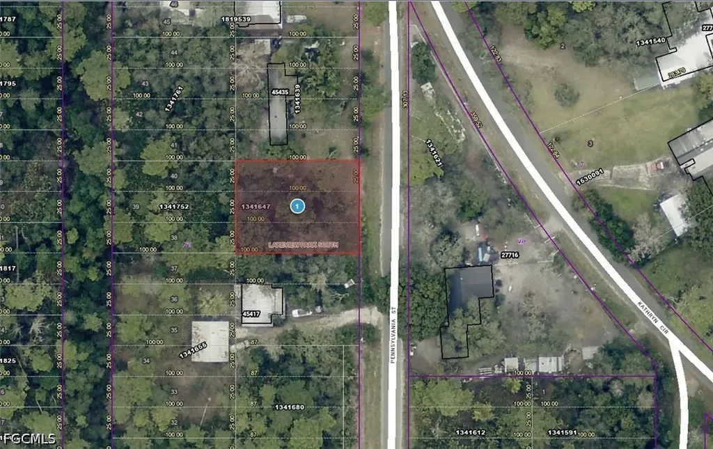 15-17-28-0100-021-00900 Pennsylvania Street Paisley FL 32767