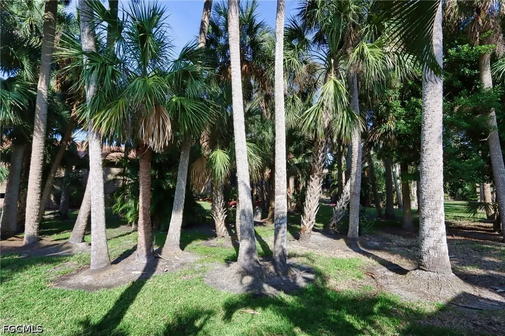 17623 Osprey Inlet Court Fort Myers FL 33908