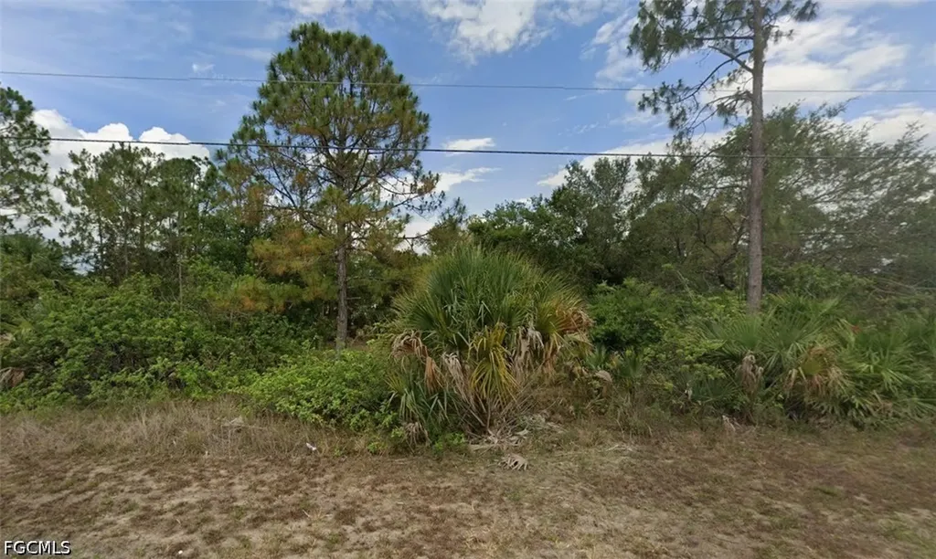 2412 Carlton Avenue N Lehigh Acres FL 33971