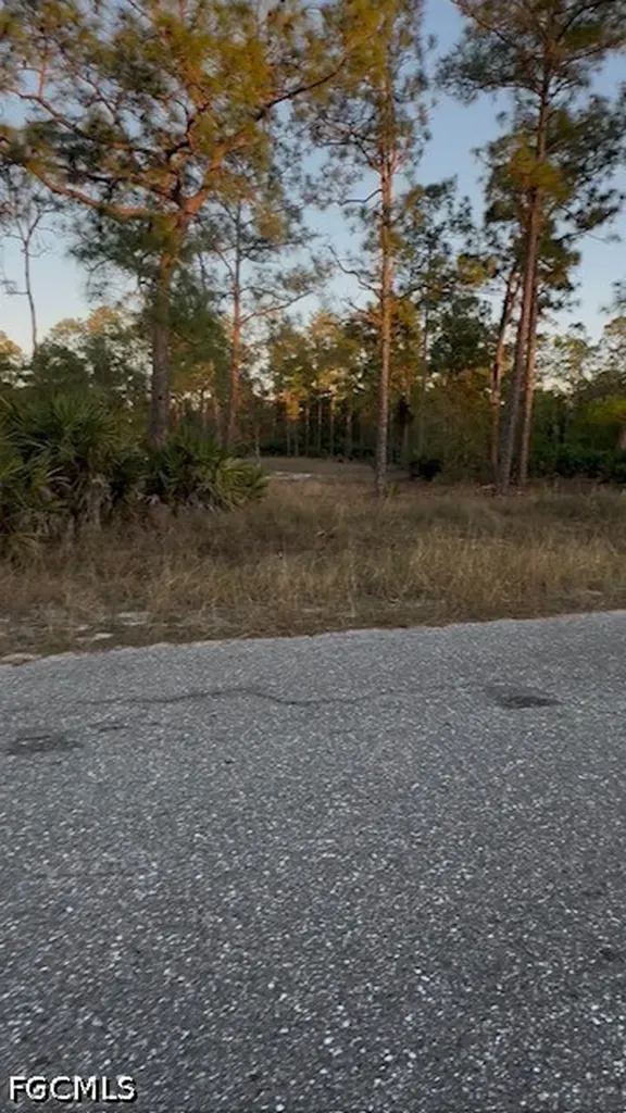 914 Grant Avenue Lehigh Acres FL 33972
