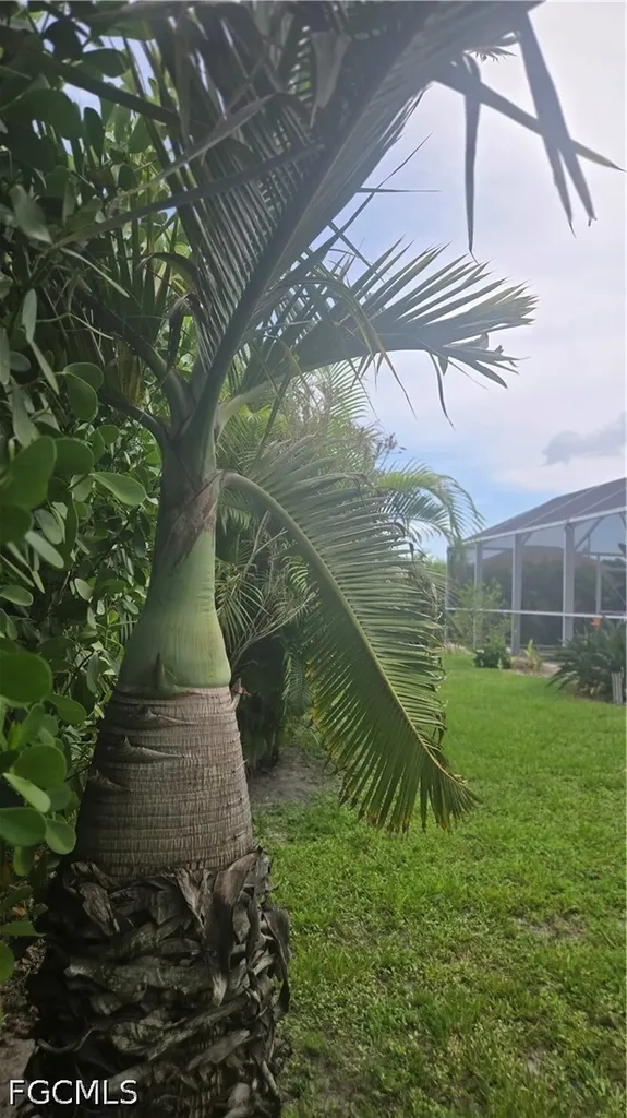2611 SW 23rd Place Cape Coral FL 33914