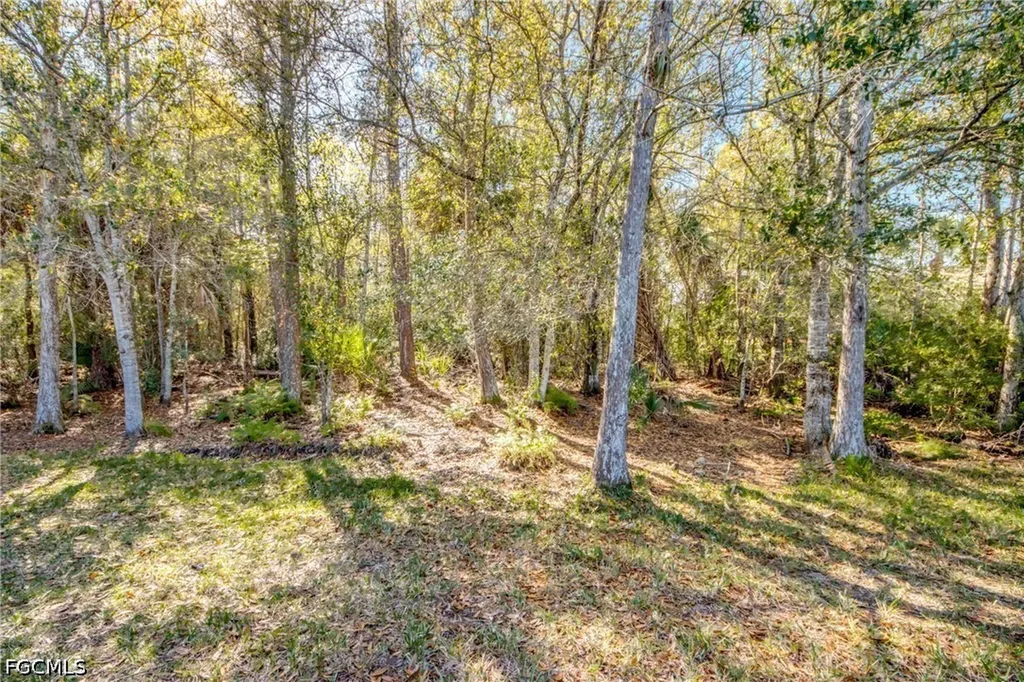 10600 Tirano Court Fort Myers FL 33913
