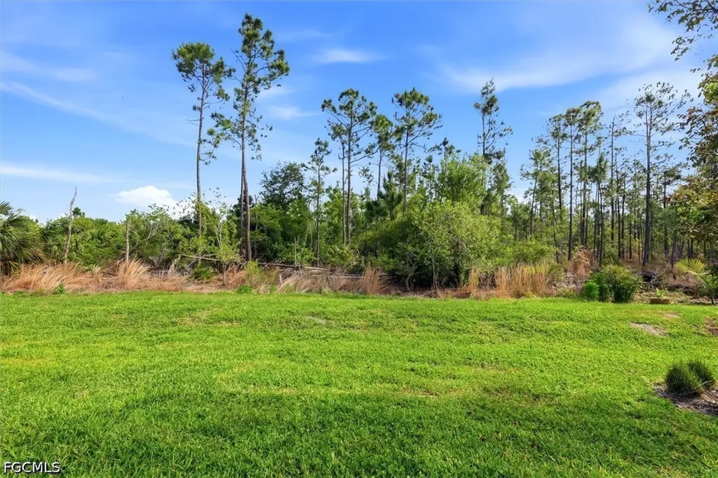20579 Plumwood Loop North Fort Myers FL 33917