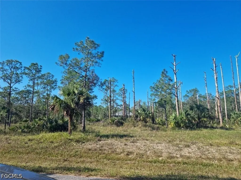 2309 Wellington Avenue Alva FL 33920