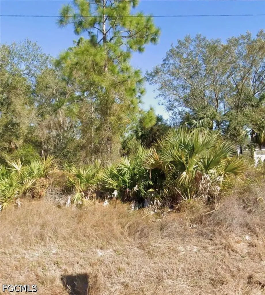 1503 Clayton Avenue Lehigh Acres FL 33972