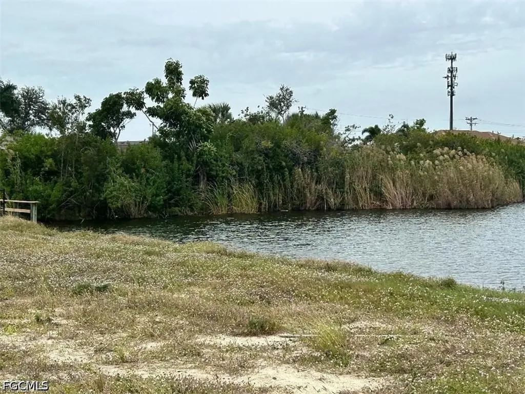 225 NE 10th Place Cape Coral FL 33909
