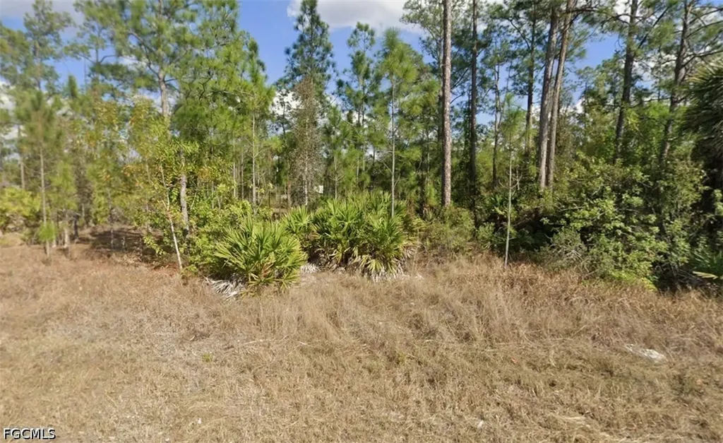 1404 Maple Avenue N Lehigh Acres FL 33972