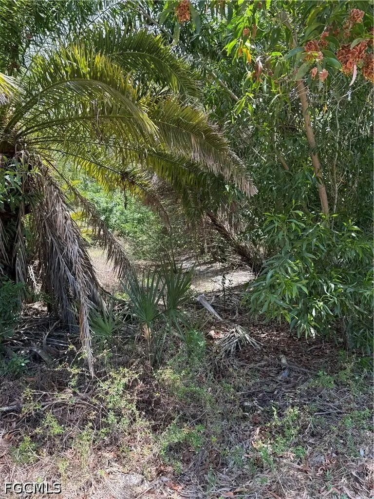15870 Quail Trail Bokeelia FL 33922