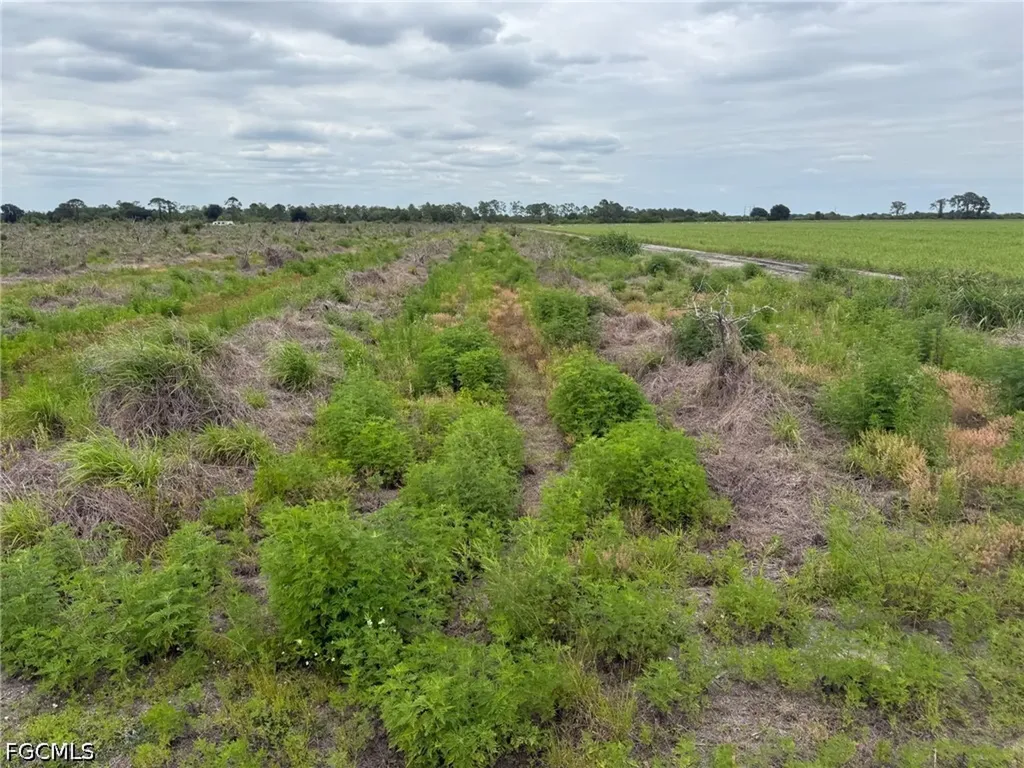 7156 6th Road Labelle FL 33935