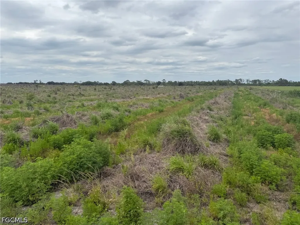 7156 6th Road Labelle FL 33935