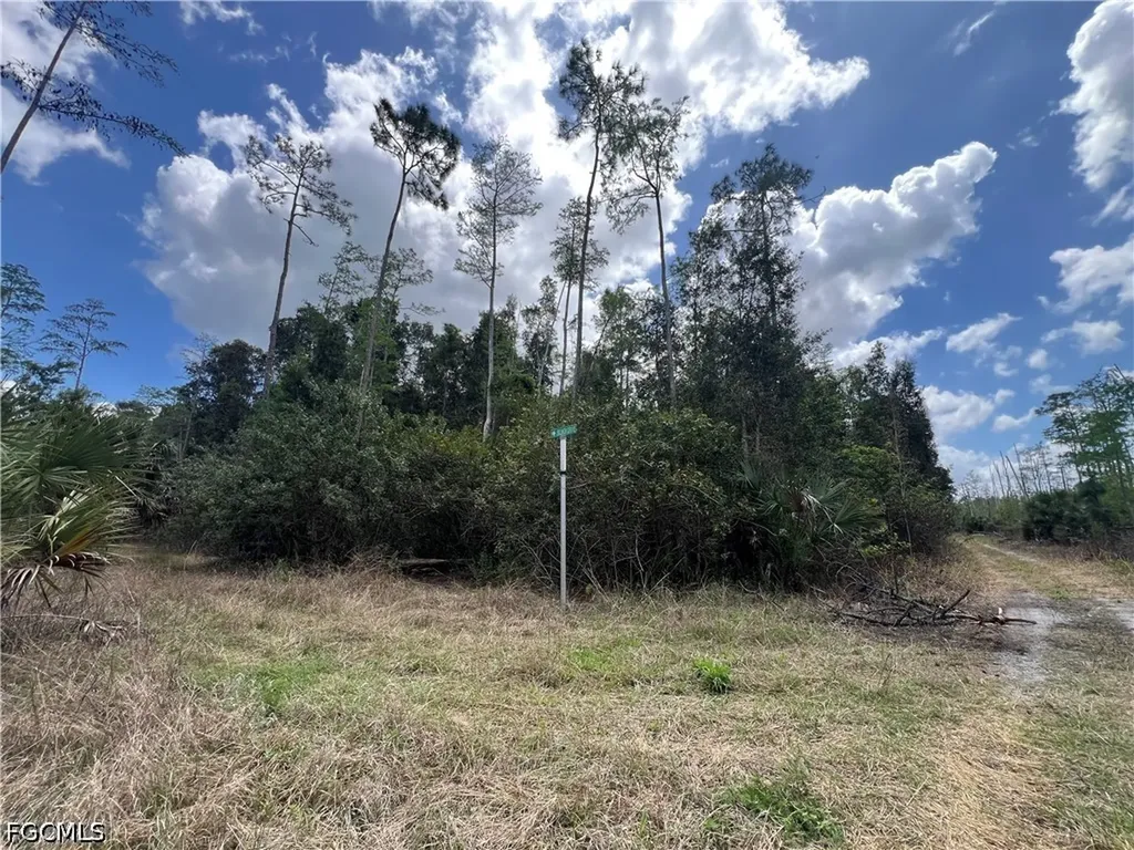 16840 Jozach Drive Naples FL 34120