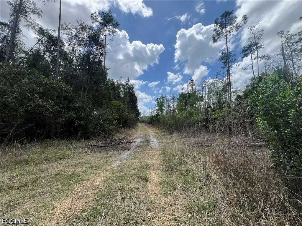 16840 Jozach Drive Naples FL 34120