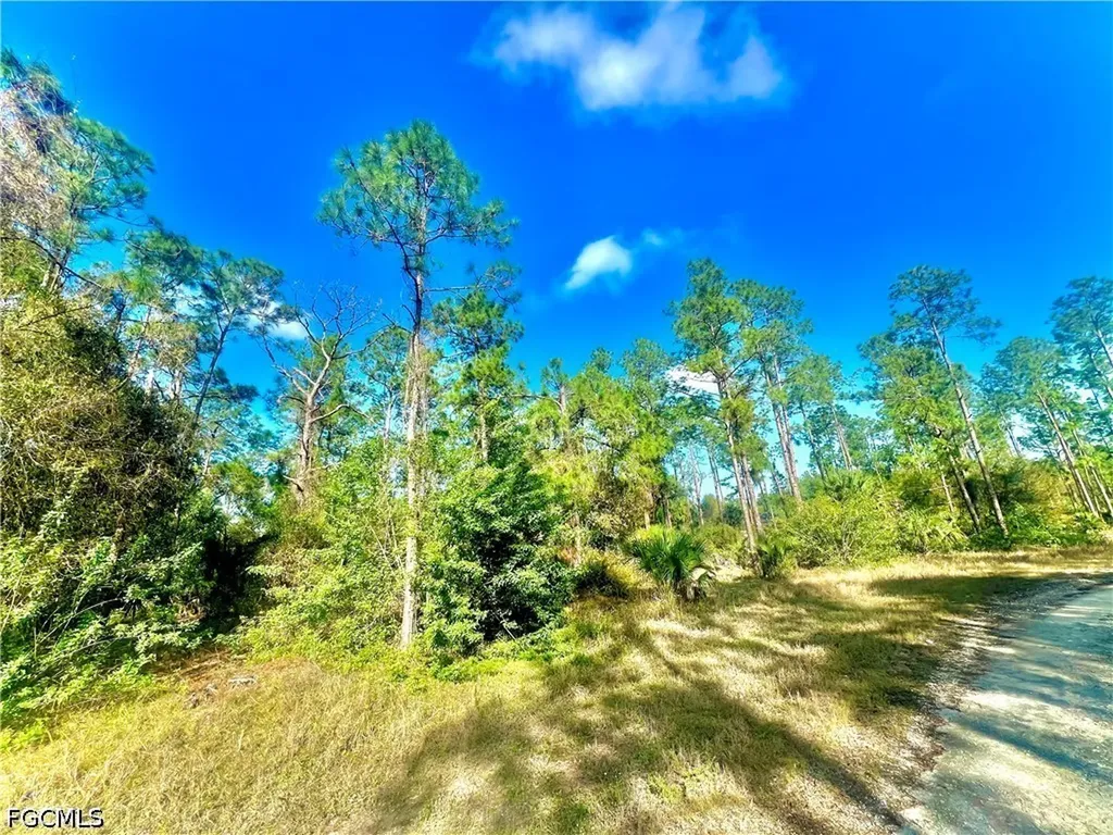 124 Nassau Avenue Lehigh Acres FL 33974