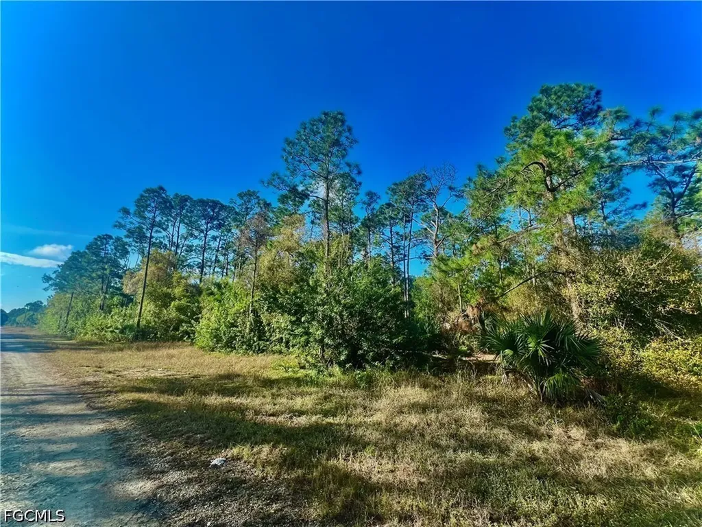 124 Nassau Avenue Lehigh Acres FL 33974