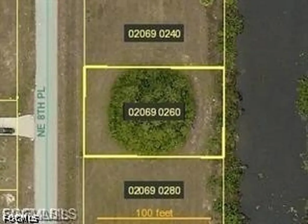 1403 NE 8th Place Cape Coral FL 33909