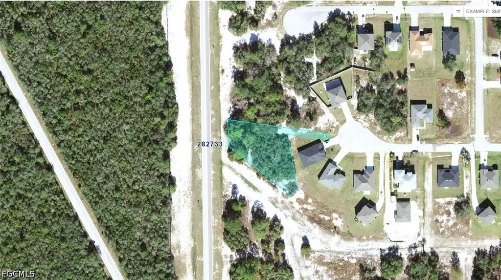 1257 Amazon Lane Kissimmee FL 34759