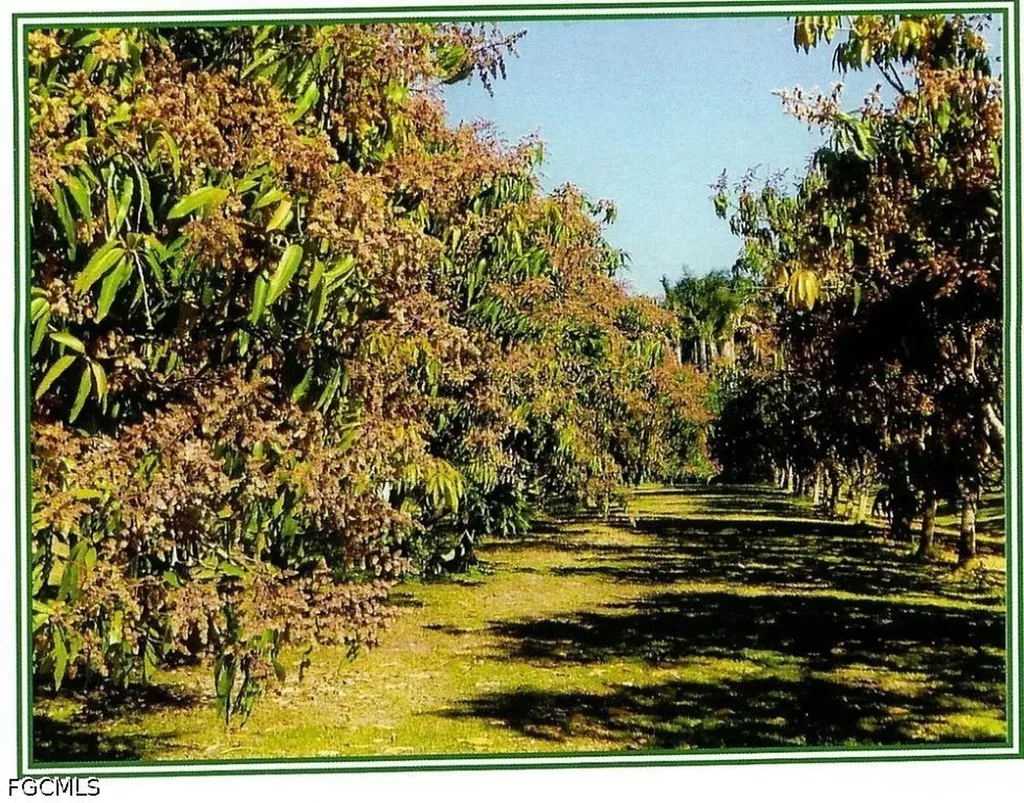 Bokeelia FL 33922