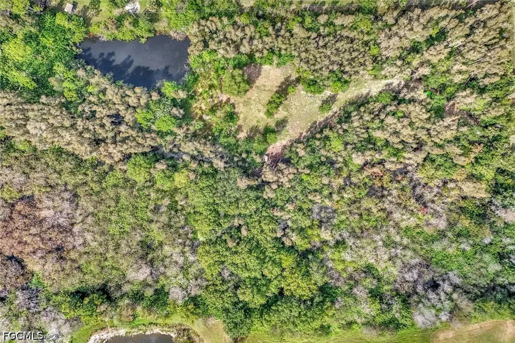 41601 Little Farm Road Punta Gorda FL 33982