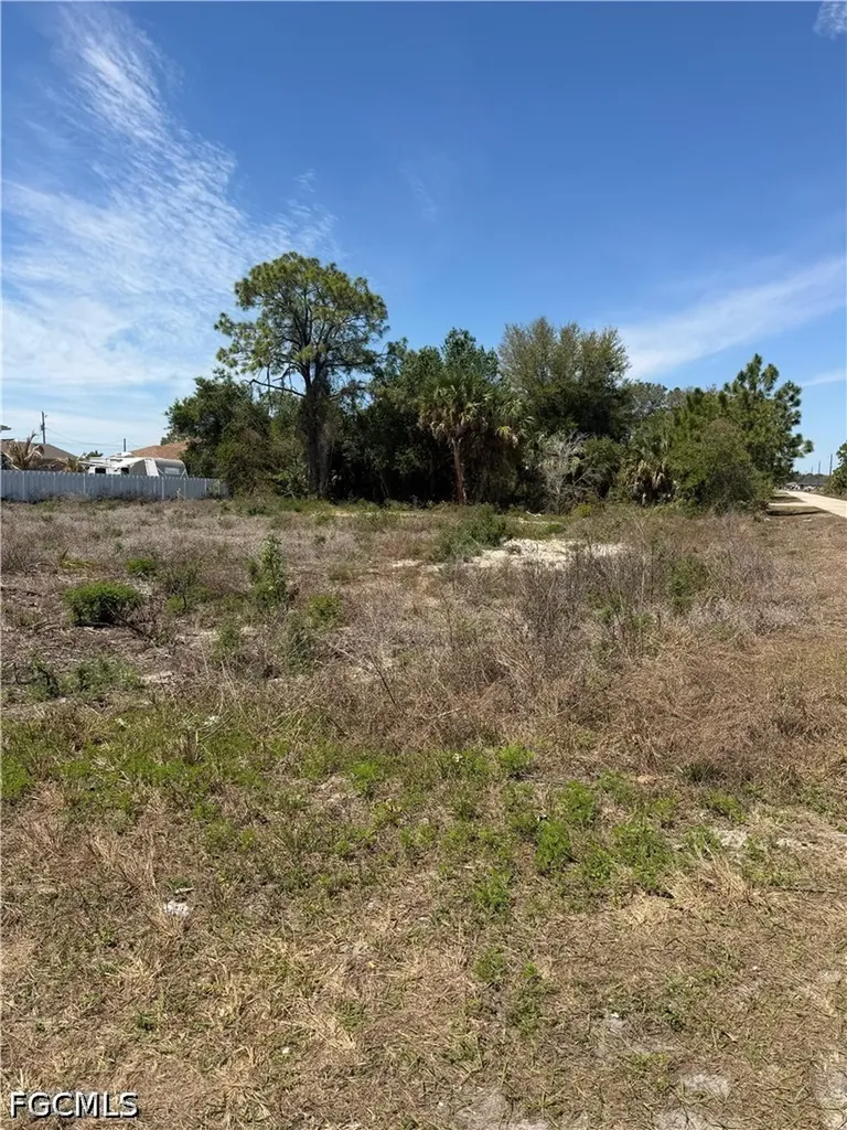 2415 Conway Avenue N Lehigh Acres FL 33971