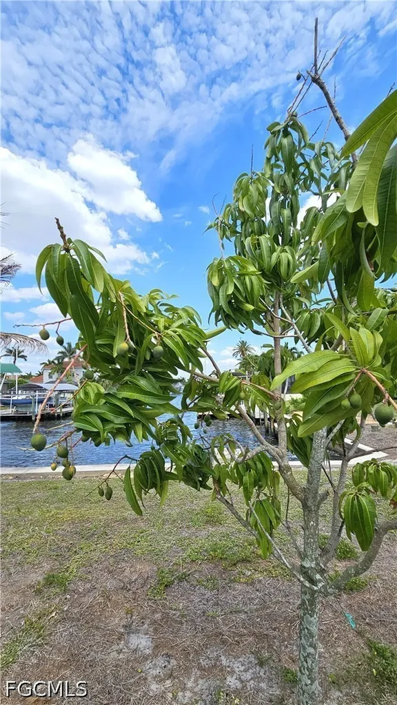 111 SW 58th Terrace Cape Coral FL 33914