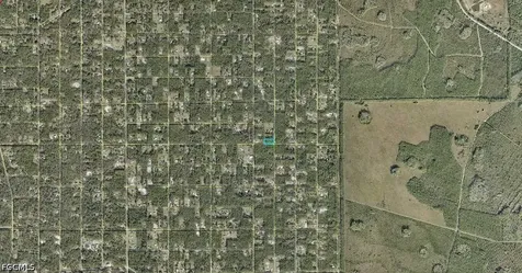 10065 Dillon Hastings FL 32145
