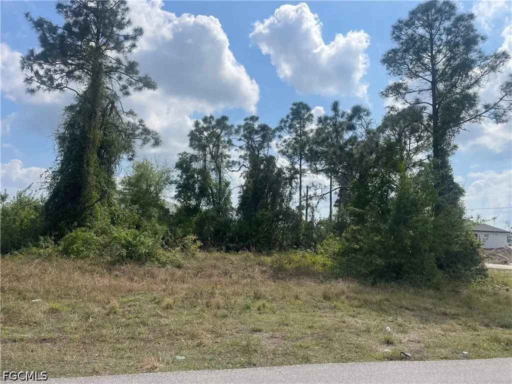 1054/1056 Albert Avenue Lehigh Acres FL 33971