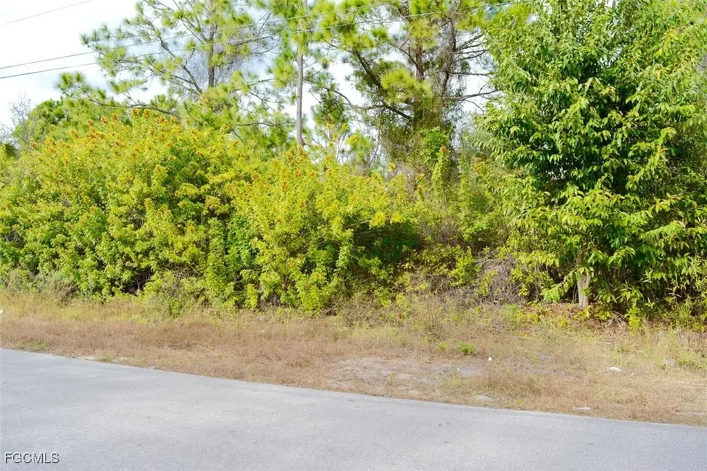 713 Colyer Street E Lehigh Acres FL 33974