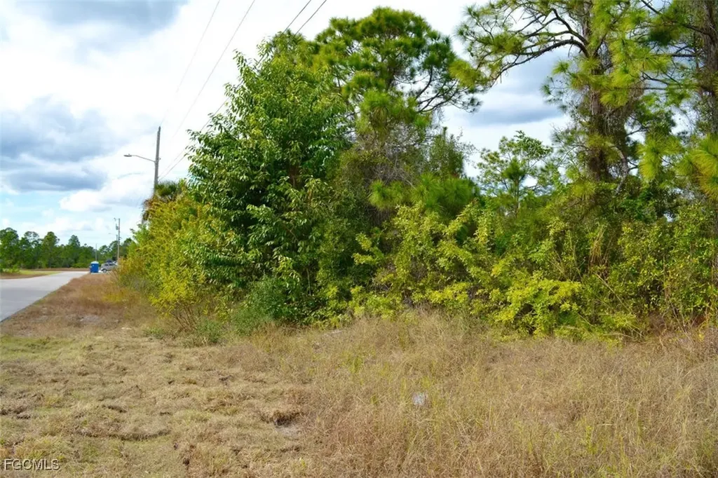 713 Colyer Street E Lehigh Acres FL 33974