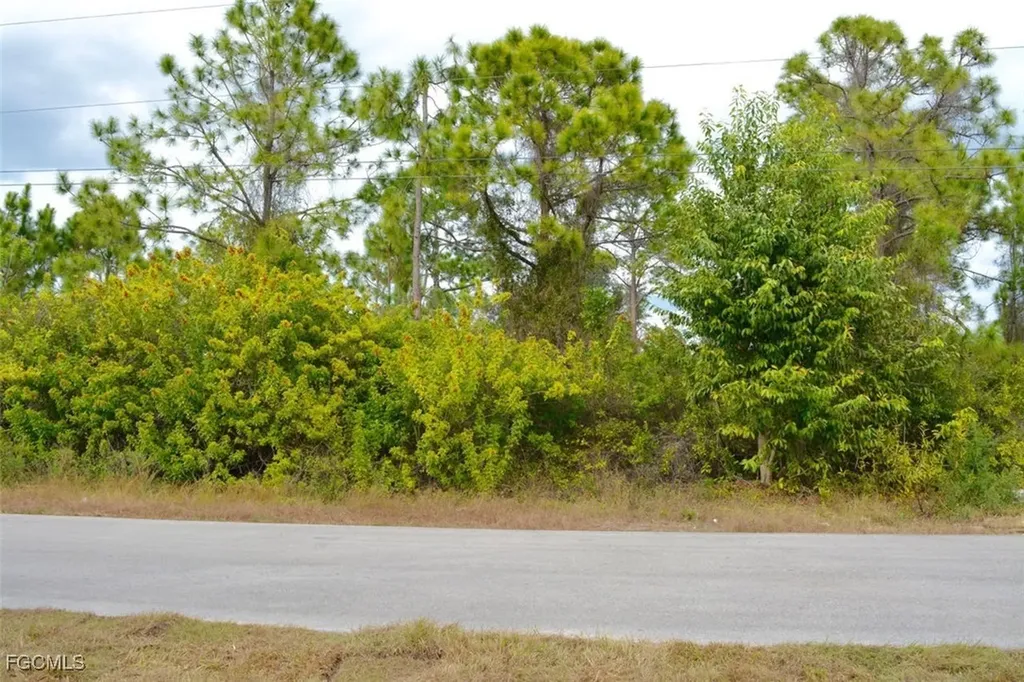 713 Colyer Street E Lehigh Acres FL 33974