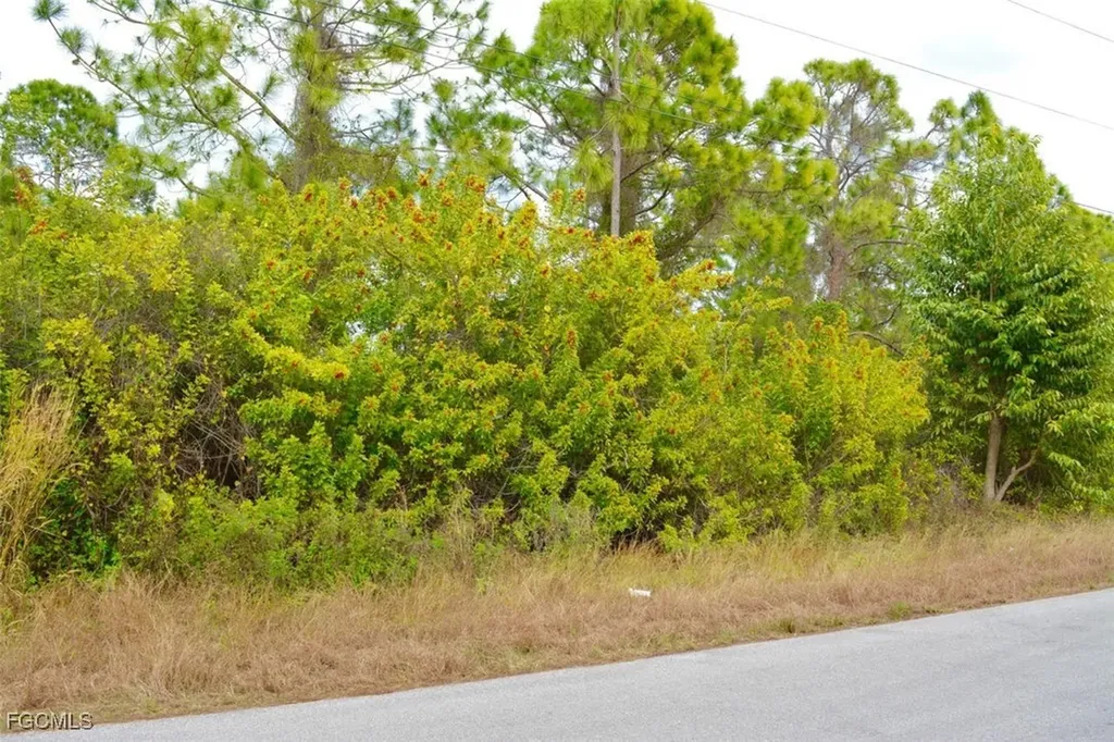 713 Colyer Street E Lehigh Acres FL 33974