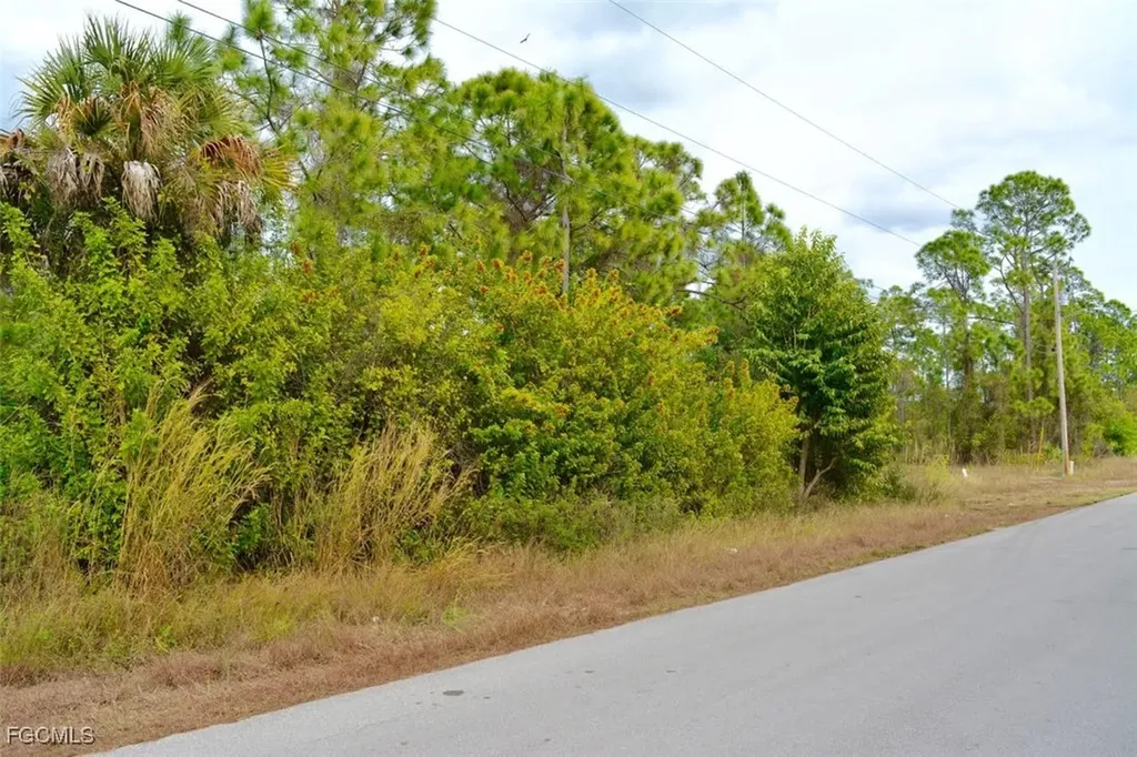 713 Colyer Street E Lehigh Acres FL 33974