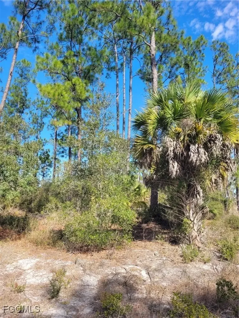7620 19th Place Labelle FL 33935