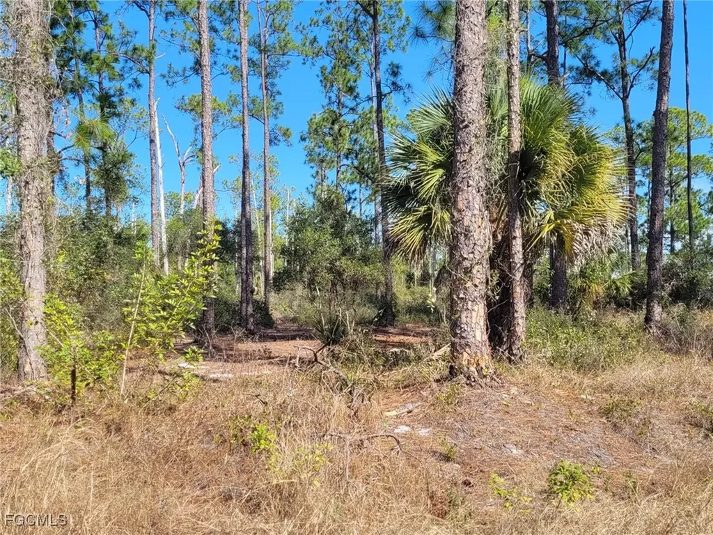 7620 19th Place Labelle FL 33935