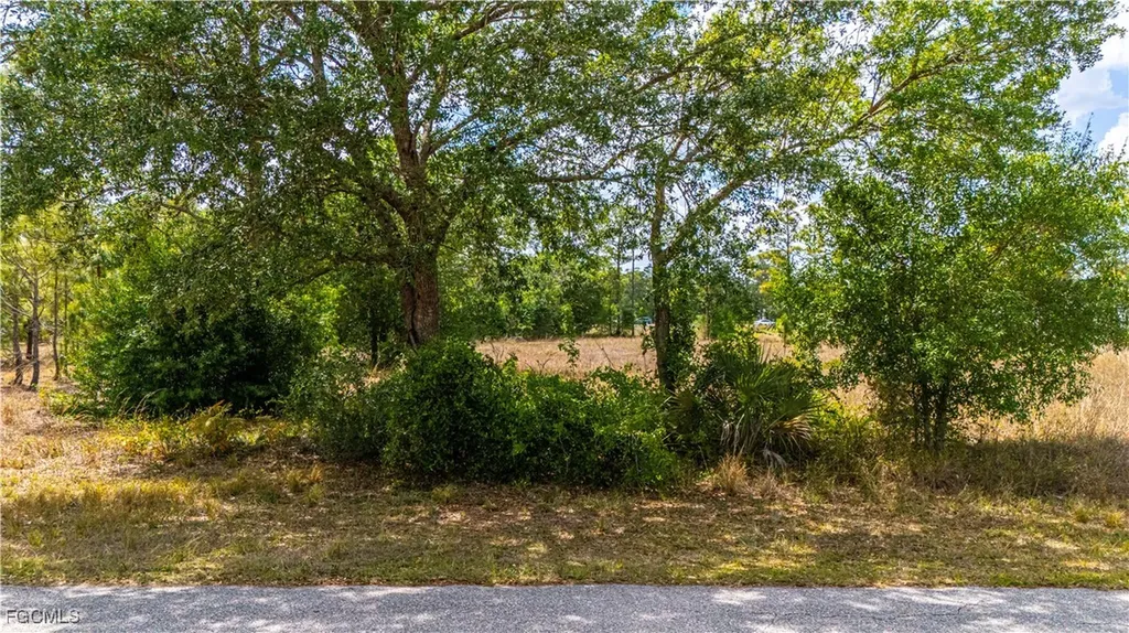 1407 Robert Avenue Lehigh Acres FL 33972