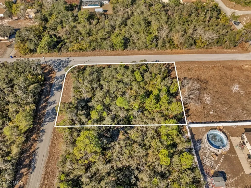 222 Cross Creek Avenue Lake Placid FL 33852