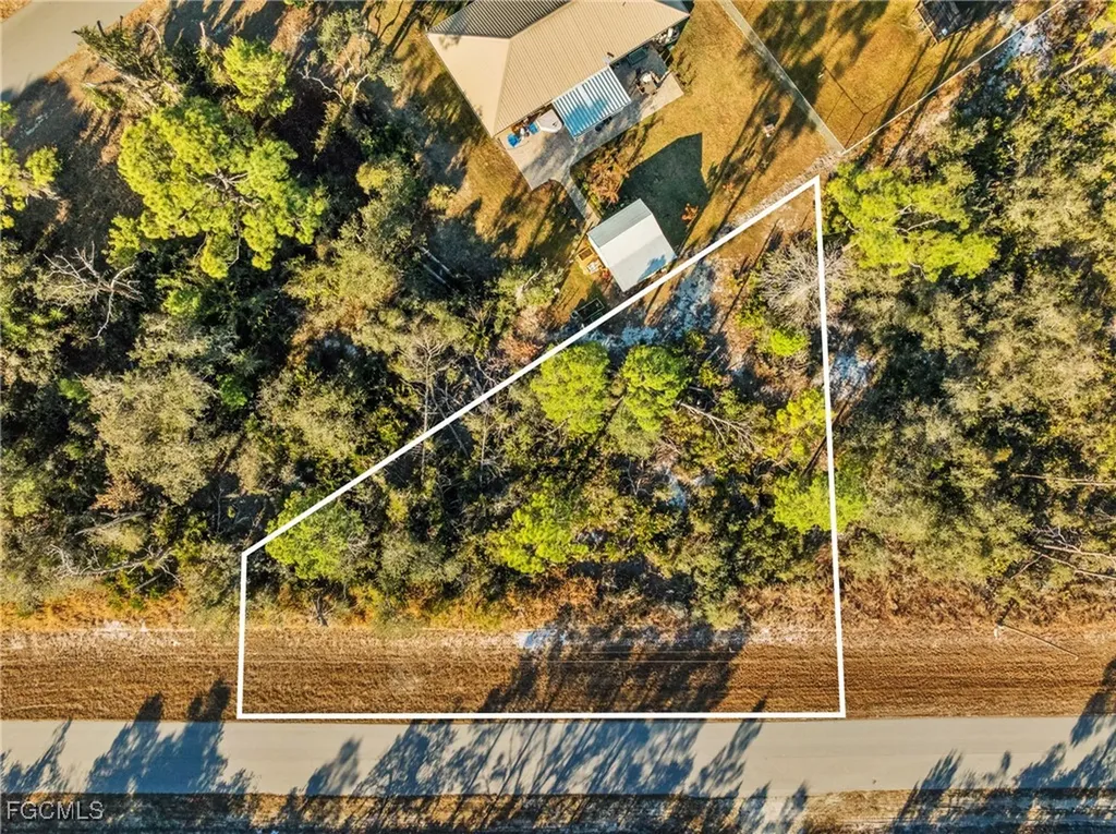 1234 Wildflower Street Lake Placid FL 33852