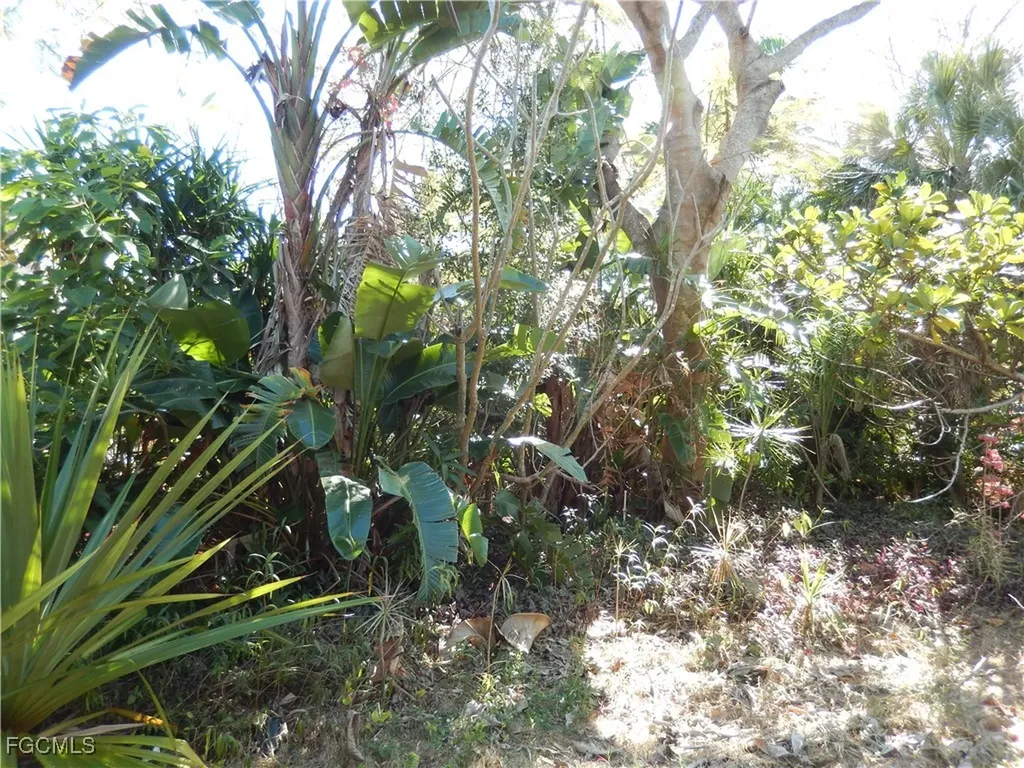 222 SE 46th Terrace Cape Coral FL 33904