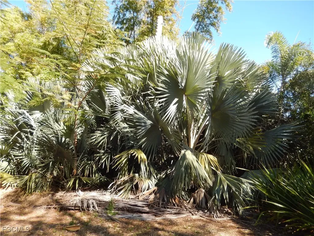 222 SE 46th Terrace Cape Coral FL 33904