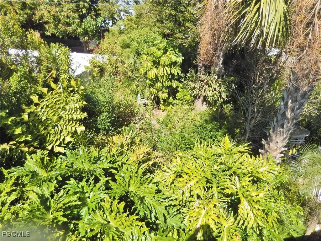 229 SE 46th Lane Cape Coral FL 33904