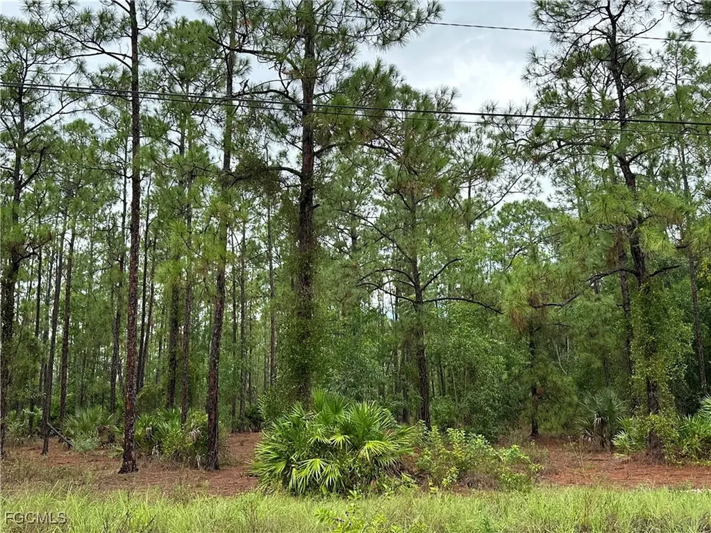 1103 Thompson Avenue Lehigh Acres FL 33972
