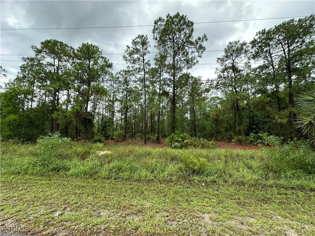 1103 Thompson Avenue Lehigh Acres FL 33972