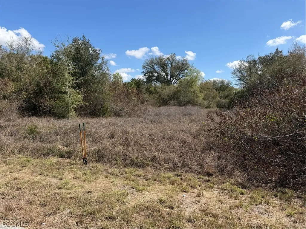 1704 Abbott Avenue Lehigh Acres FL 33972