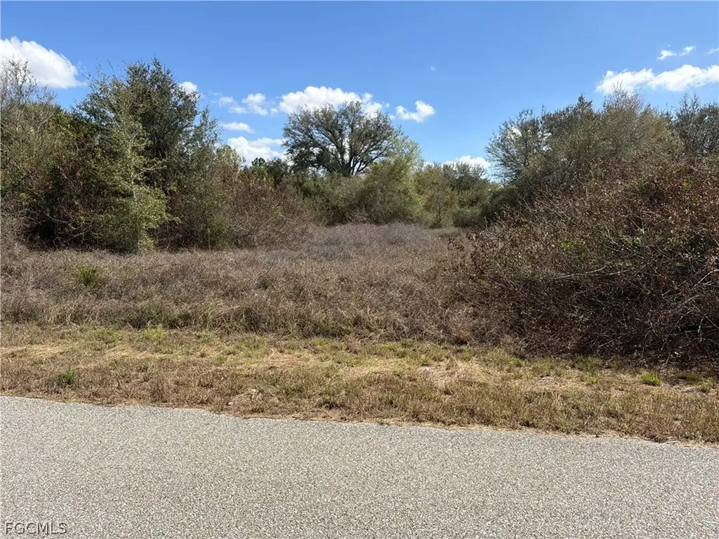 1704 Abbott Avenue Lehigh Acres FL 33972