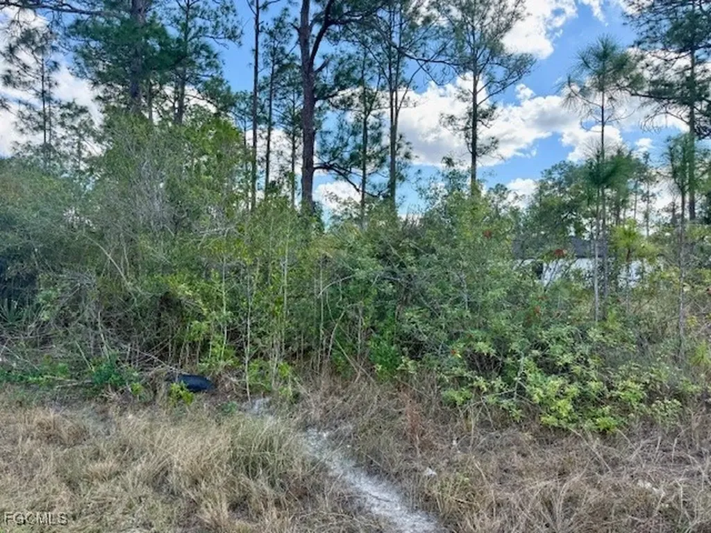 1422 North Avenue Lehigh Acres FL 33972