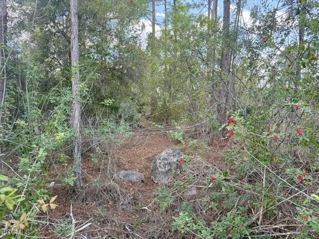 1422 North Avenue Lehigh Acres FL 33972